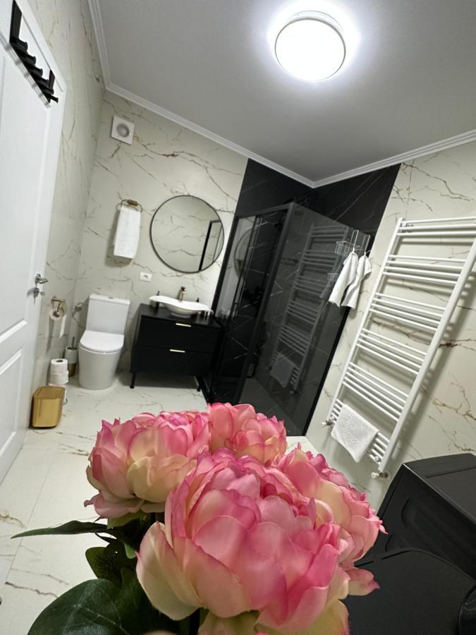 Apartament Bisera Timisoara Bagian luar foto